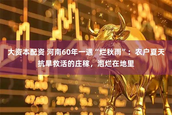 大资本配资 河南60年一遇“烂秋雨”：农户夏天抗旱救活的庄稼，泡烂在地里