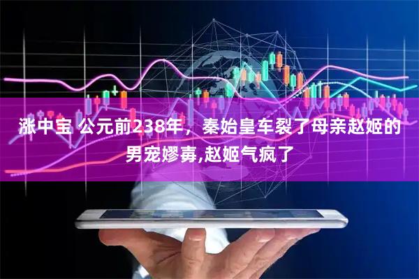 涨中宝 公元前238年，秦始皇车裂了母亲赵姬的男宠嫪毐,赵姬气疯了