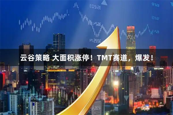 云谷策略 大面积涨停！TMT赛道，爆发！