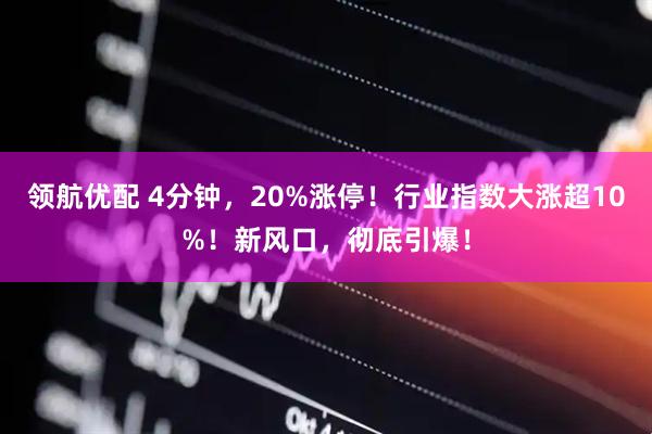 领航优配 4分钟，20%涨停！行业指数大涨超10%！新风口，彻底引爆！