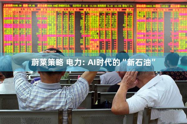 蔚莱策略 电力: AI时代的“新石油”