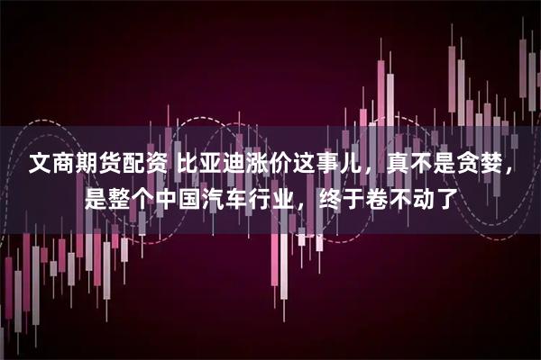 文商期货配资 比亚迪涨价这事儿，真不是贪婪，是整个中国汽车行业，终于卷不动了