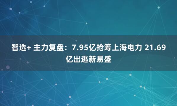 智选+ 主力复盘：7.95亿抢筹上海电力 21.69亿出逃新易盛